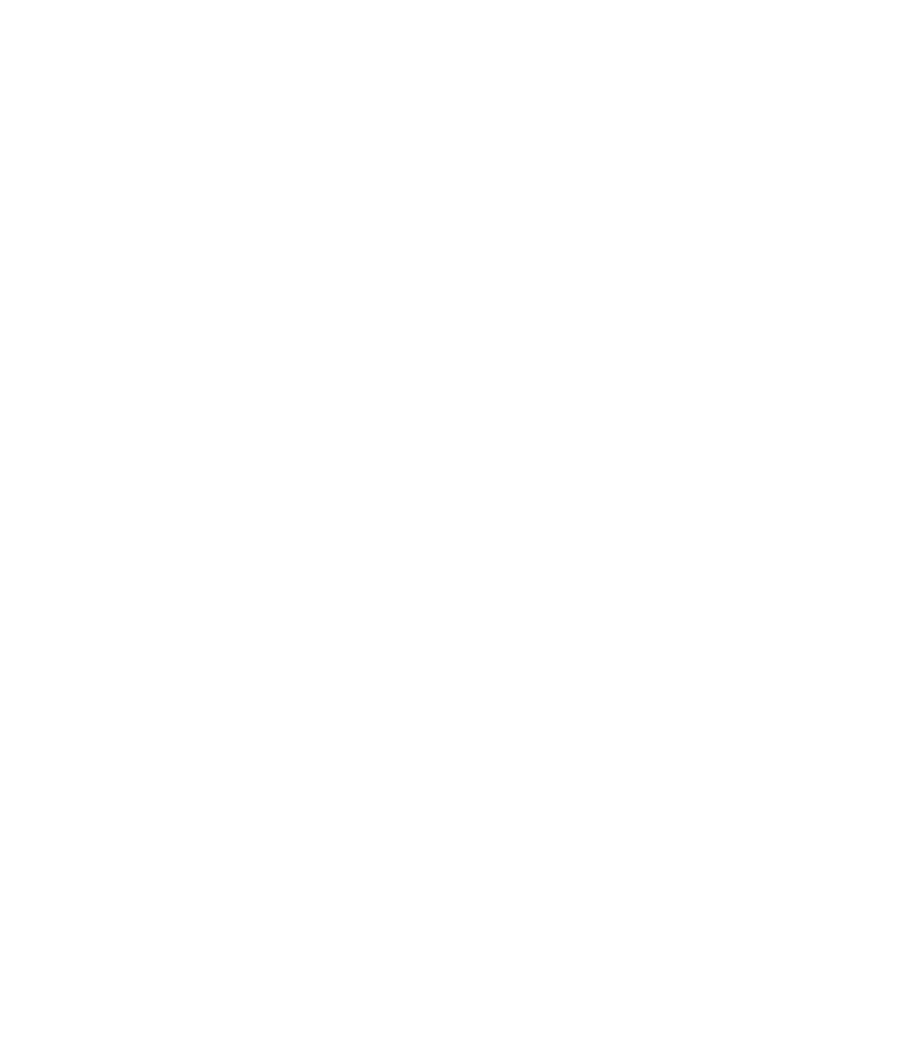 Officialgunsnosesstore